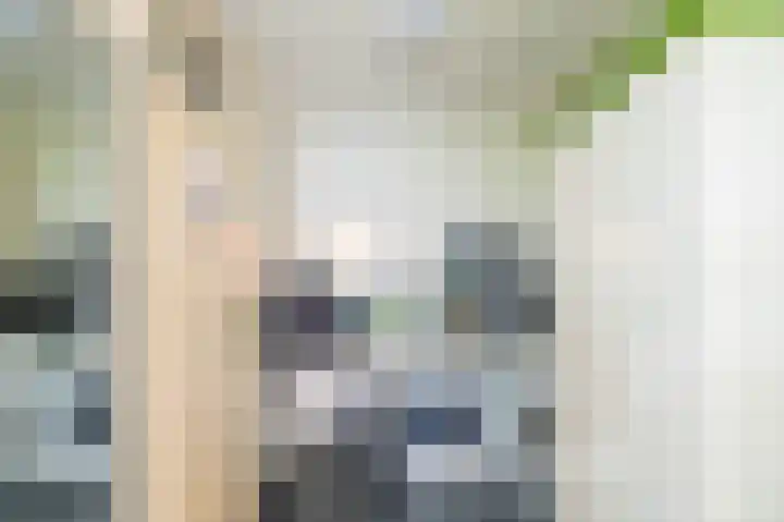 Eemskanaal 4 Groningen thumbnail 15