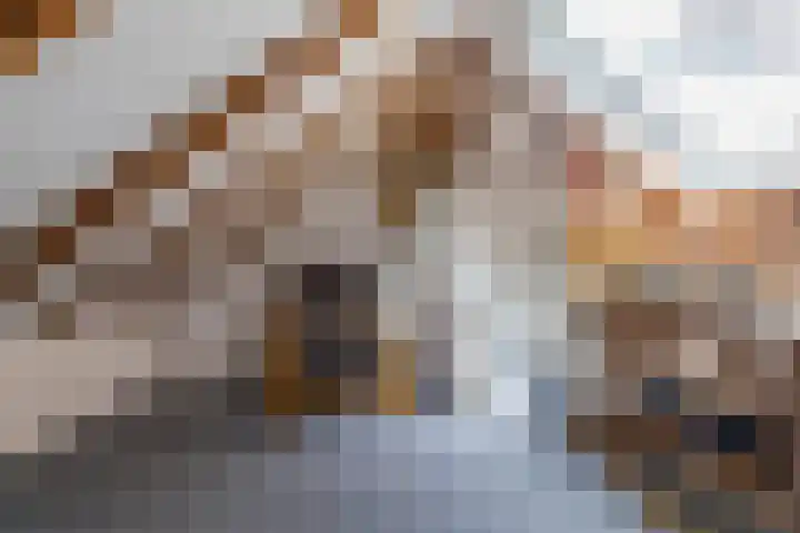 Eemskanaal 4 Groningen thumbnail 20