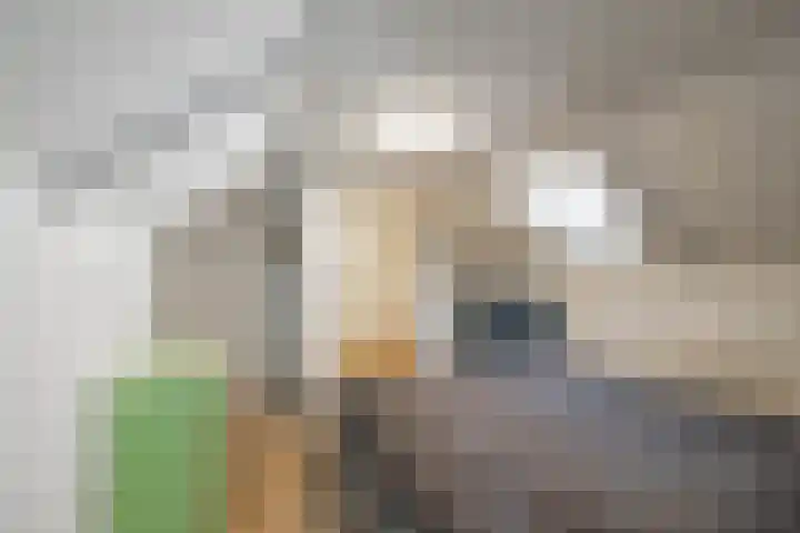Eemskanaal 4 Groningen thumbnail 22