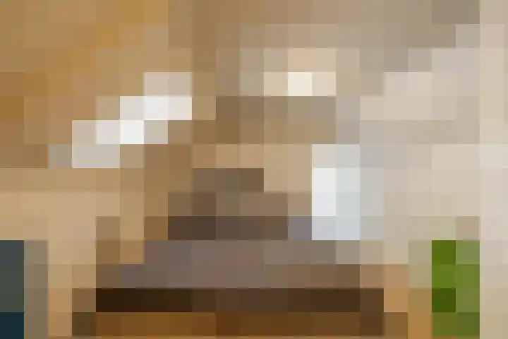 Eemskanaal 4 Groningen thumbnail 23