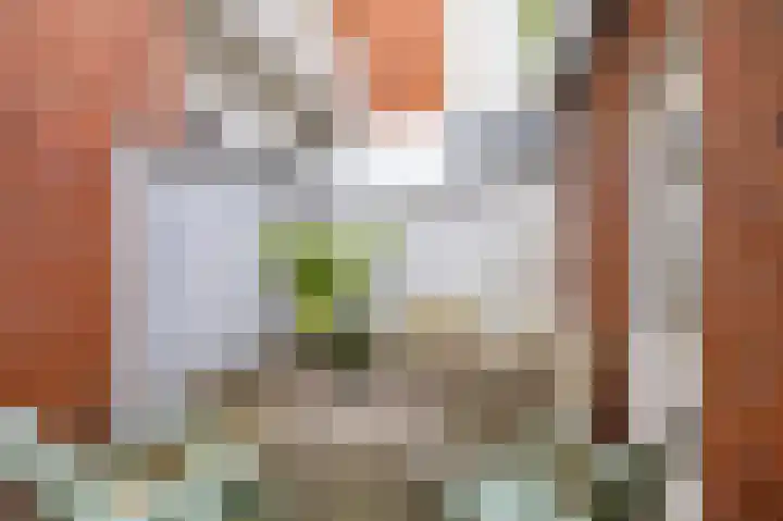 Eemskanaal 4 Groningen thumbnail 27