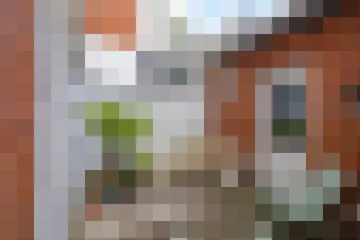 Eemskanaal 4 Groningen thumbnail 28