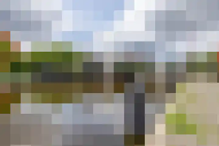 Eemskanaal 4 Groningen thumbnail 34