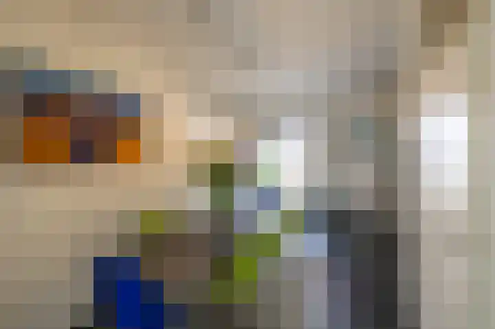 Eemskanaal 4 Groningen thumbnail 9