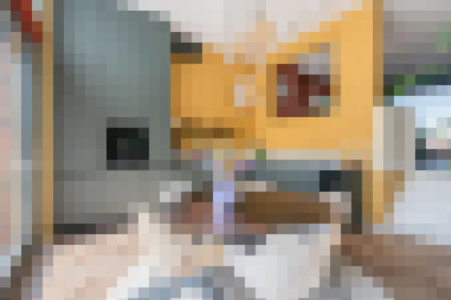 Eemskanaal 43 Groningen thumbnail 33