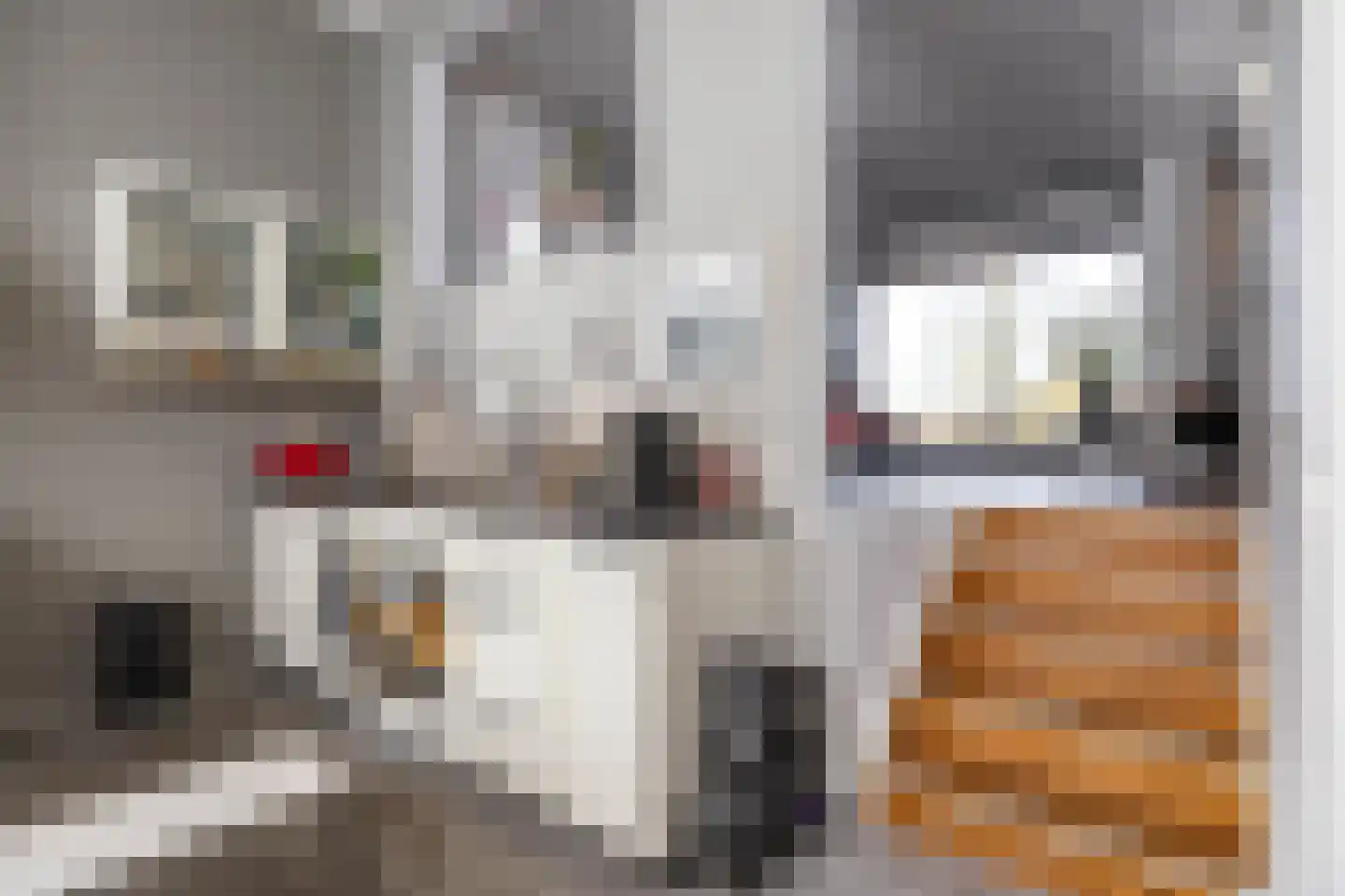 Eemskanaal 53 Groningen thumbnail 12