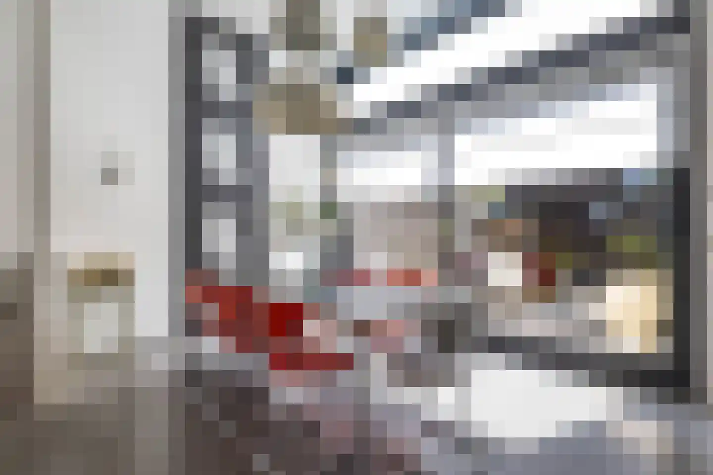 Eemskanaal 53 Groningen thumbnail 17