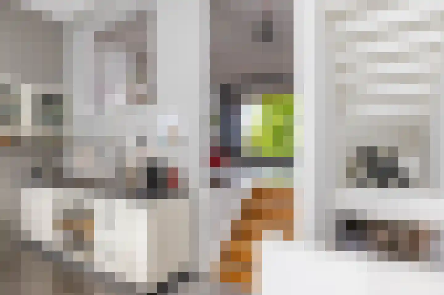 Eemskanaal 53 Groningen thumbnail 20