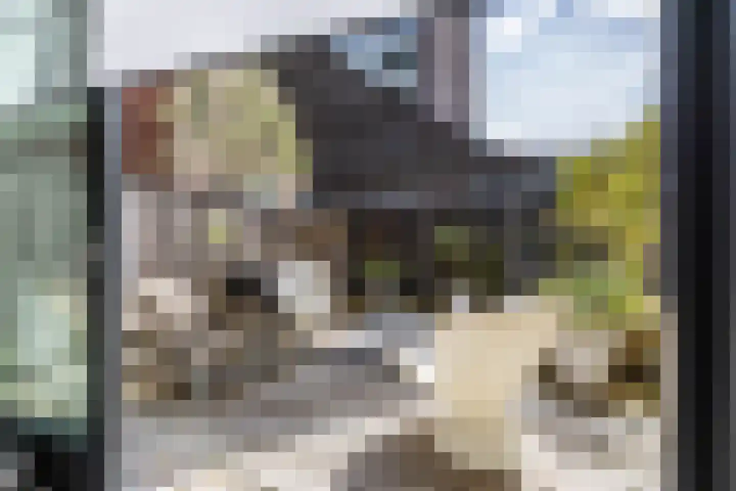 Eemskanaal 53 Groningen thumbnail 25