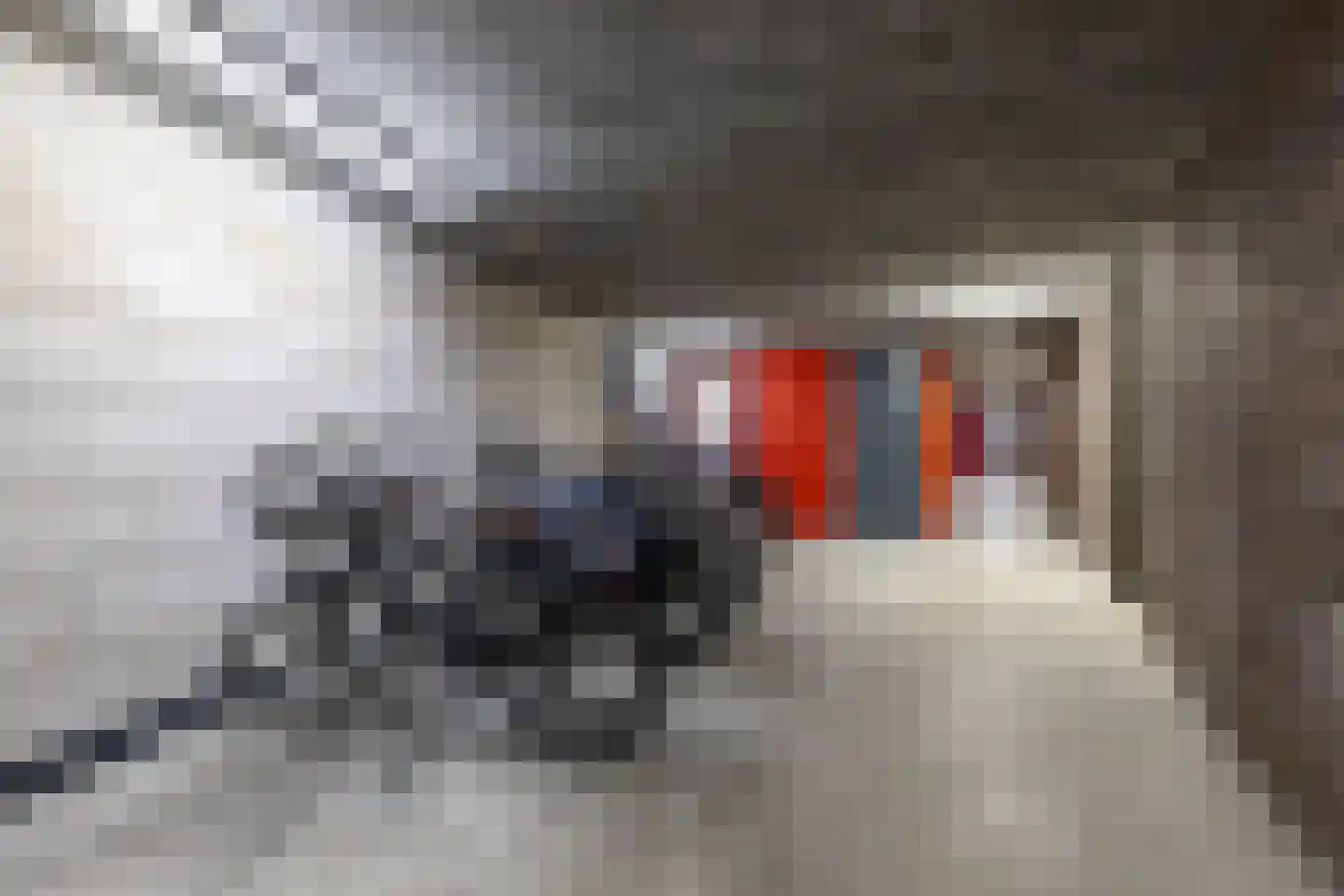 Eemskanaal 53 Groningen thumbnail 44