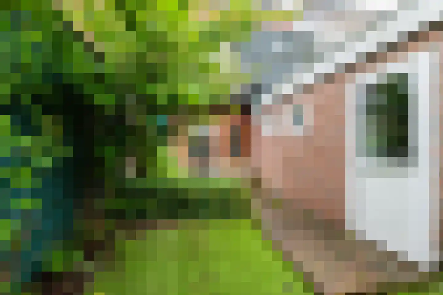 Eemskanaal 8 a Groningen thumbnail 25