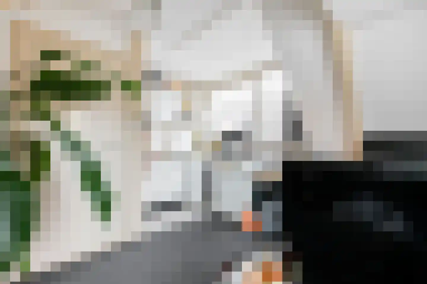 Eemskanaal 8 a Groningen thumbnail 50