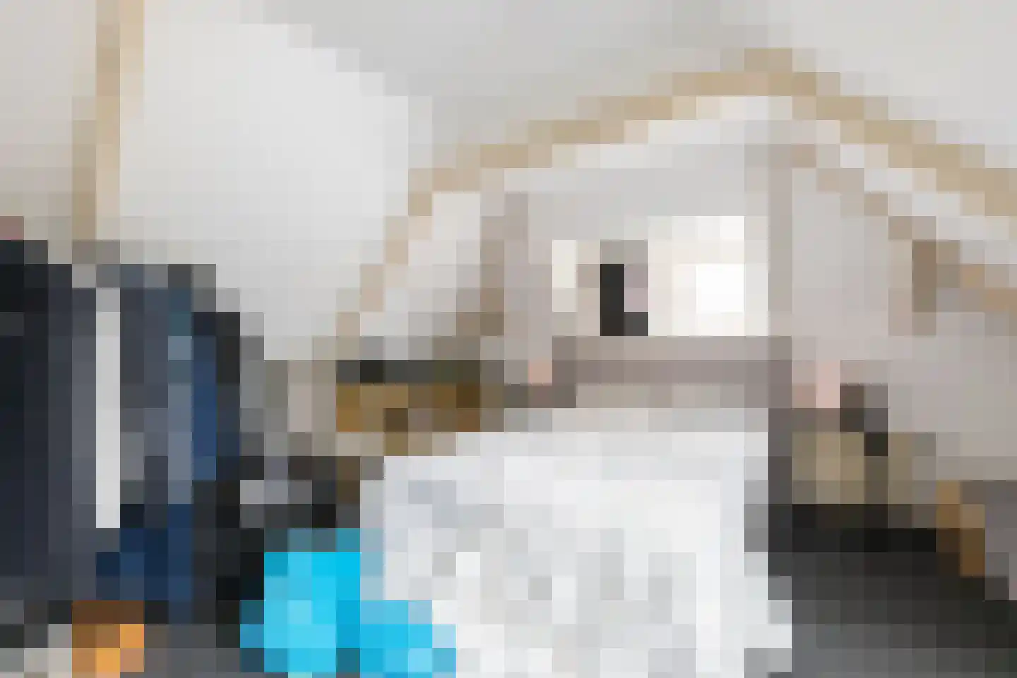 Eemskanaal 8 a Groningen thumbnail 53