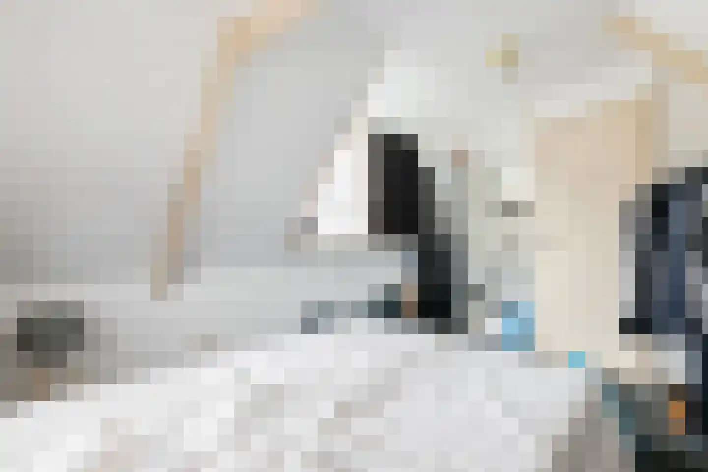 Eemskanaal 8 a Groningen thumbnail 54