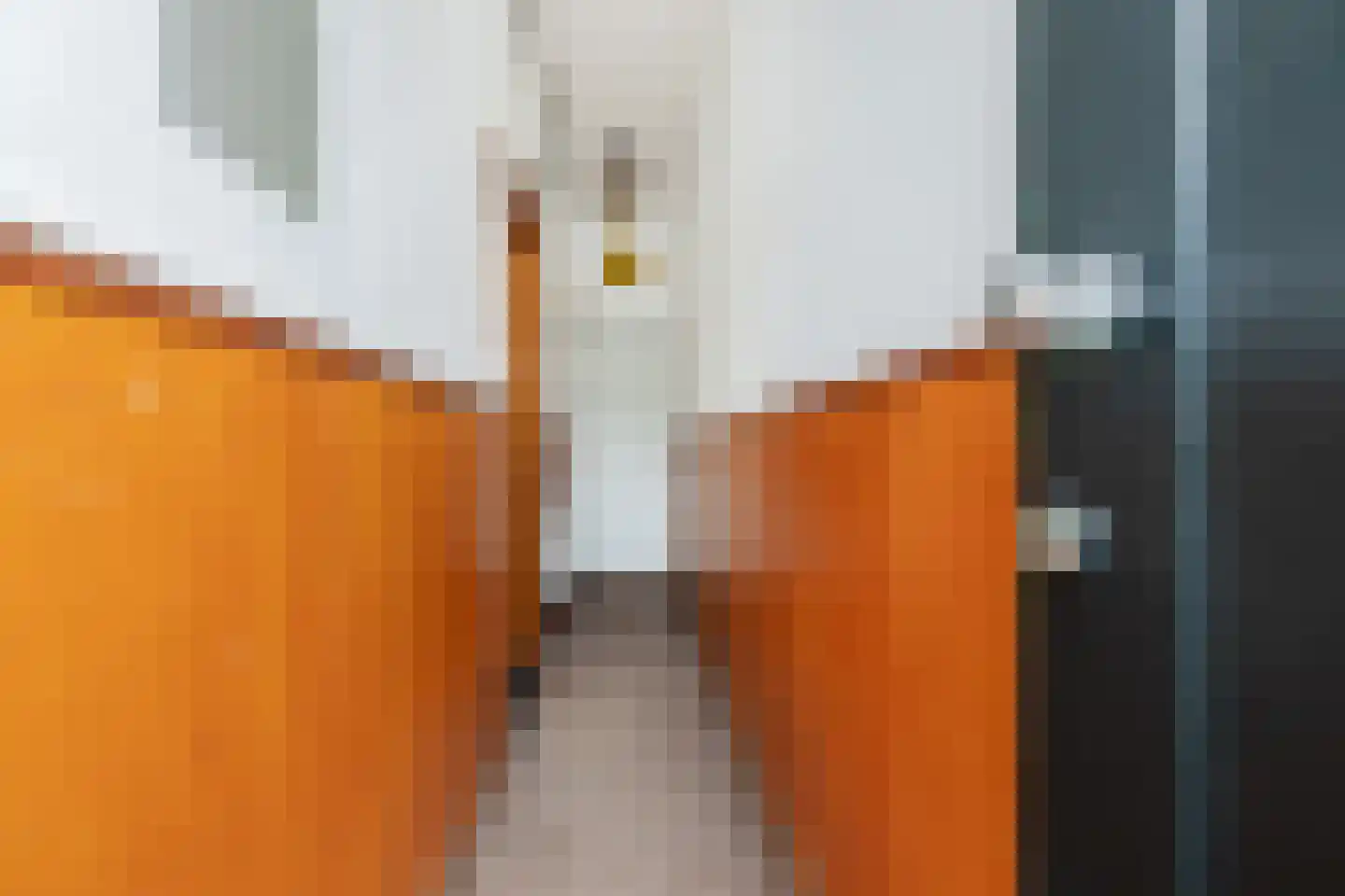 Eemskanaal 8 a Groningen thumbnail 6