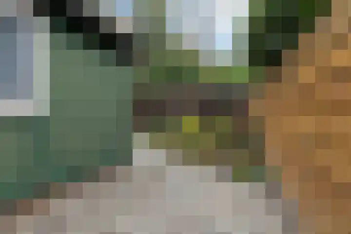 Eemslaan 5 Termunten thumbnail 16