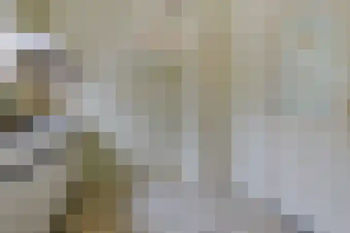 Eemslaan 5 Termunten thumbnail 29