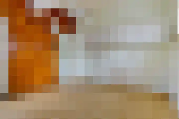 Eemslaan 5 Termunten thumbnail 35