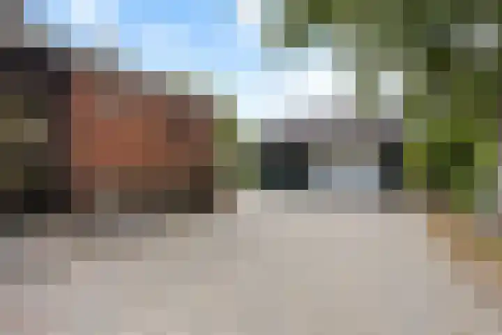 Eemslandweg 135 Zwartemeer thumbnail 29