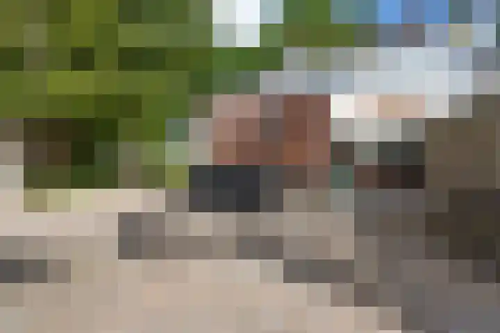 Eemslandweg 135 Zwartemeer thumbnail 30
