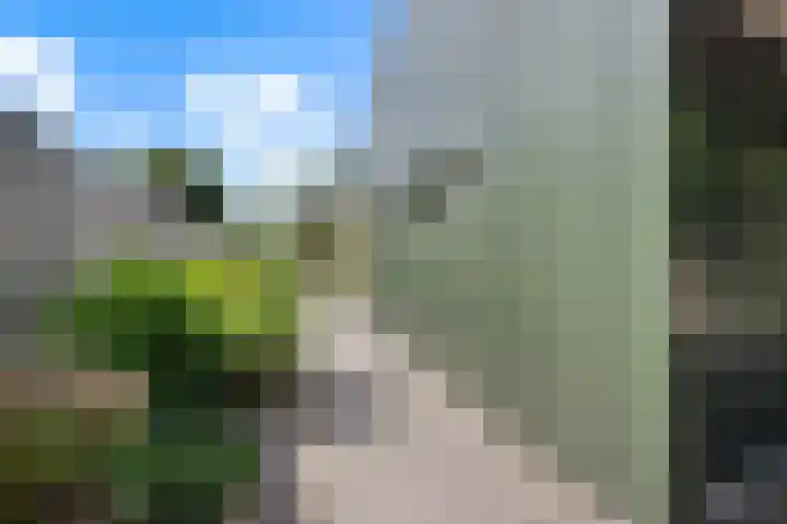 Eemslandweg 135 Zwartemeer thumbnail 31