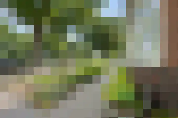 Eemslandweg 135 Zwartemeer thumbnail 32