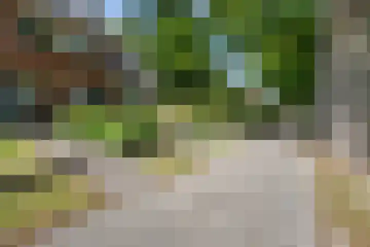 Eemslandweg 135 Zwartemeer thumbnail 34