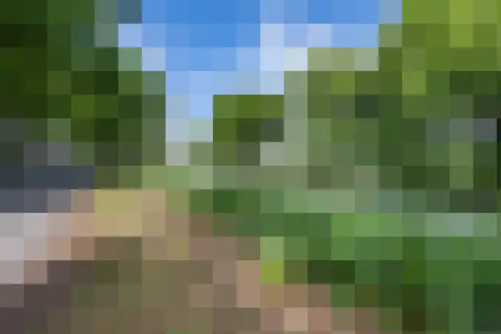 Eemslandweg 135 Zwartemeer thumbnail 35