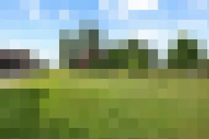 Eemslandweg 135 Zwartemeer thumbnail 39