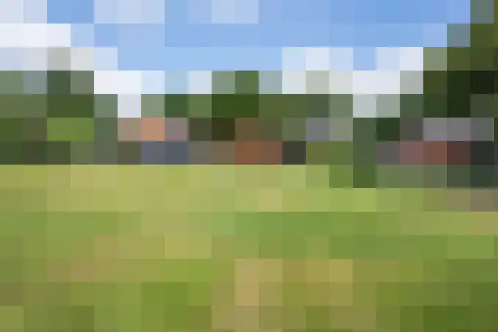 Eemslandweg 135 Zwartemeer thumbnail 40