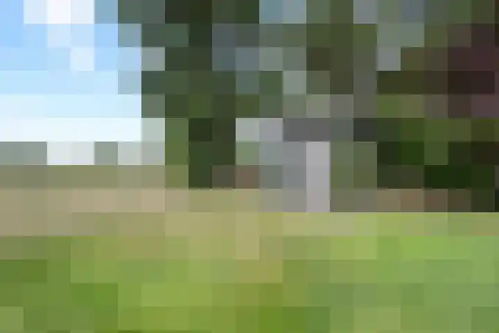 Eemslandweg 135 Zwartemeer thumbnail 41
