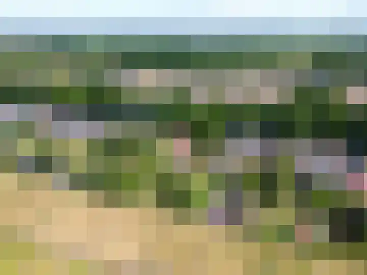 Eemslandweg 135 Zwartemeer thumbnail 43