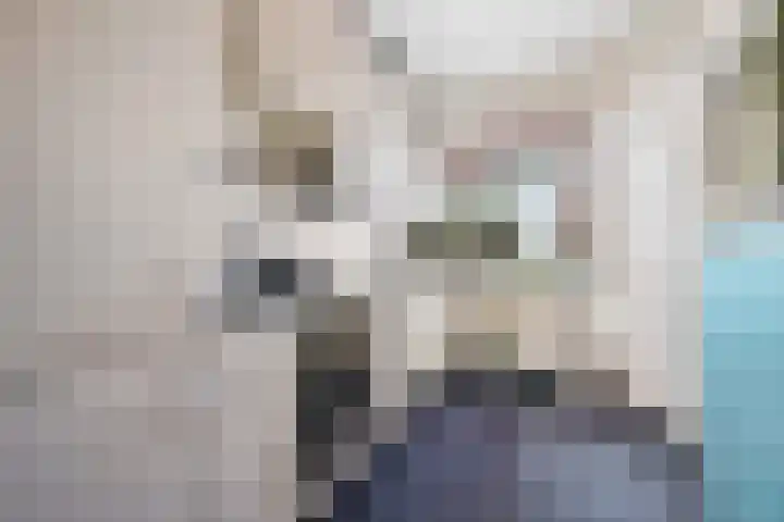 Eemslandweg 135 Zwartemeer thumbnail 7