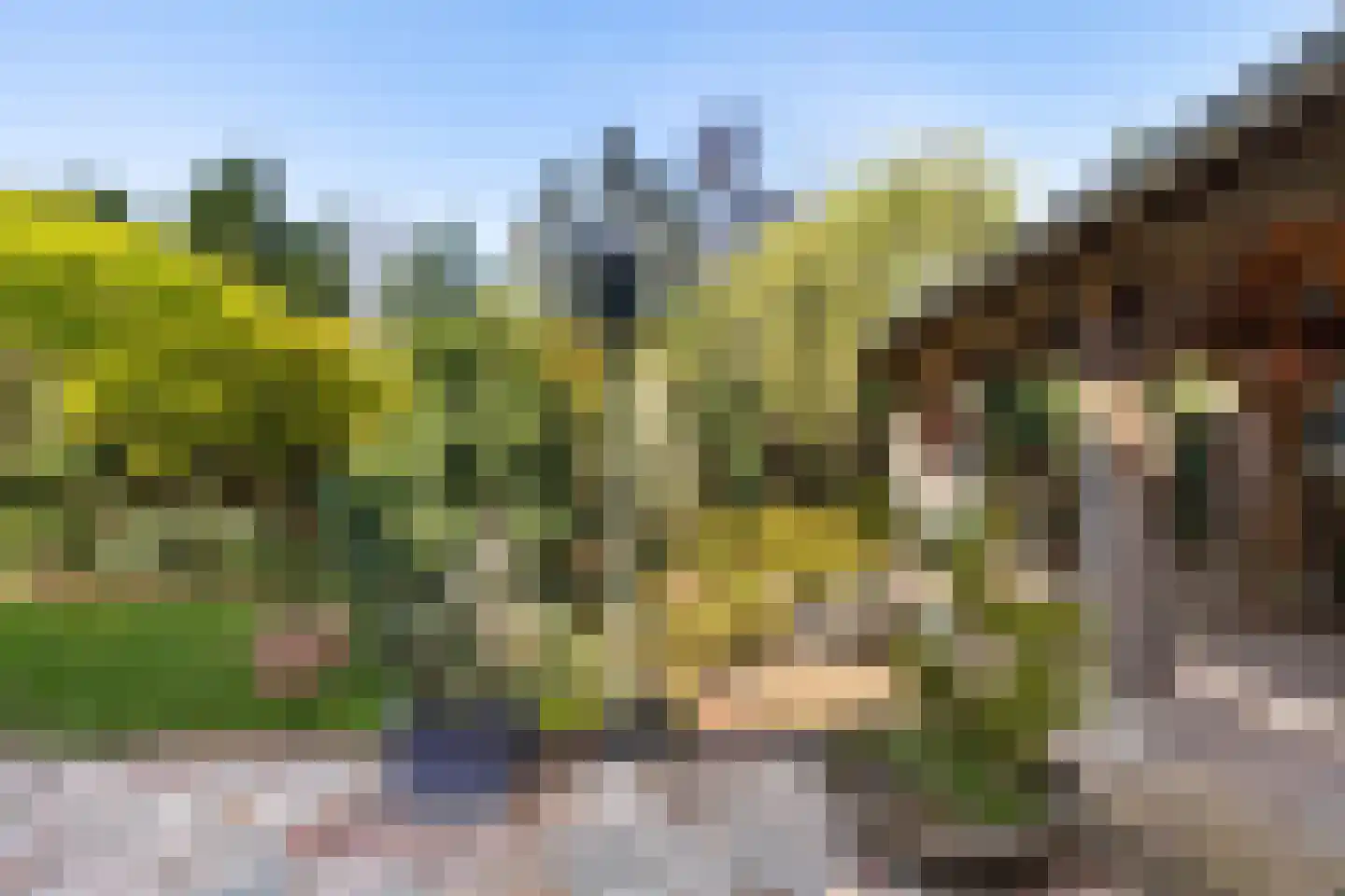 Eemslandweg 15 Zwartemeer thumbnail 11