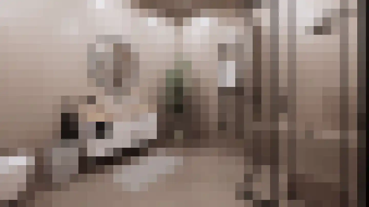 Eemslandweg 88 A Zwartemeer thumbnail 7