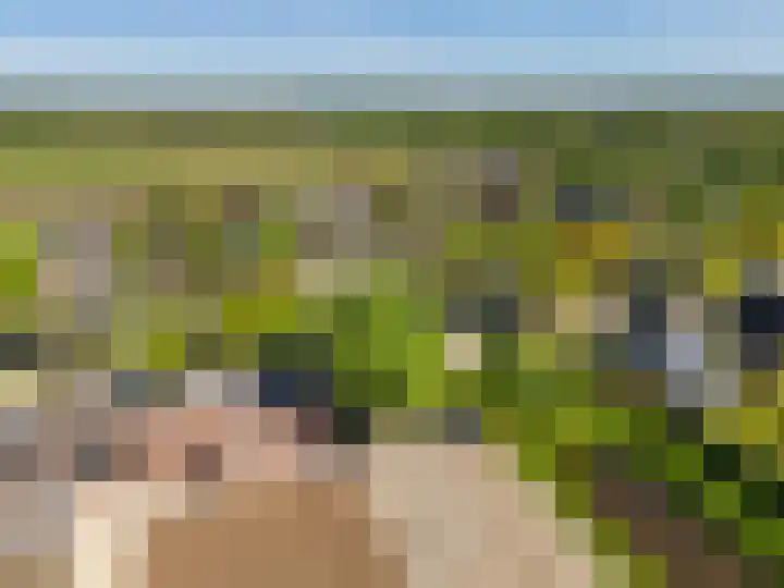 Eemslandweg 88 B Zwartemeer thumbnail 4