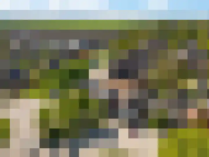 Eemslandweg 88 B Zwartemeer thumbnail 5