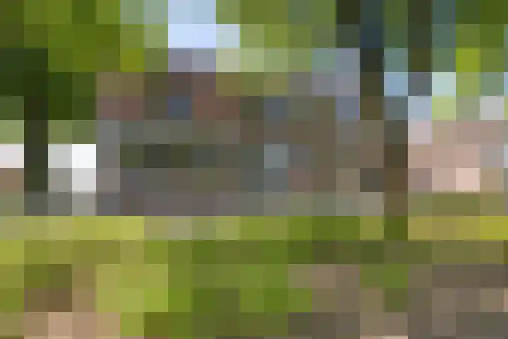 Eemslandweg 88 B Zwartemeer thumbnail 6