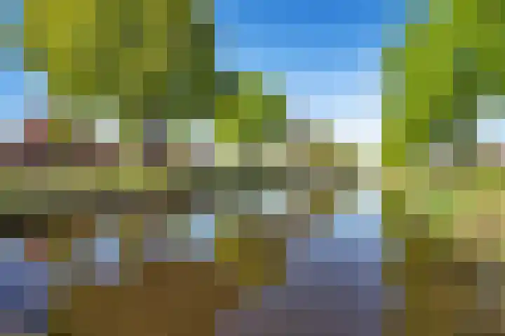 Eemslandweg 88 B Zwartemeer thumbnail 9