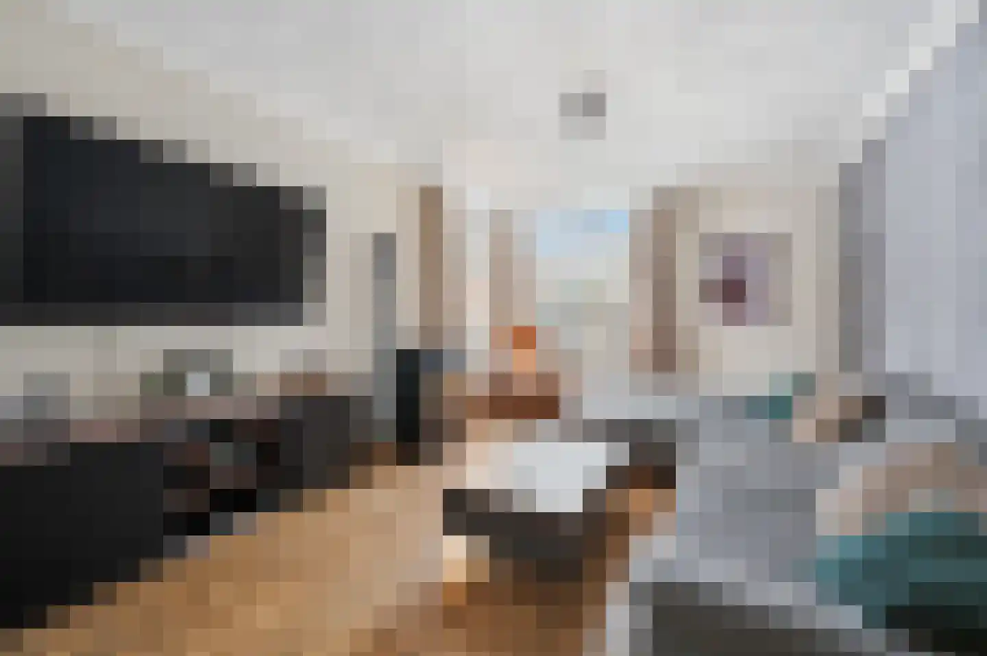 Eemslandweg 99 Zwartemeer thumbnail 11