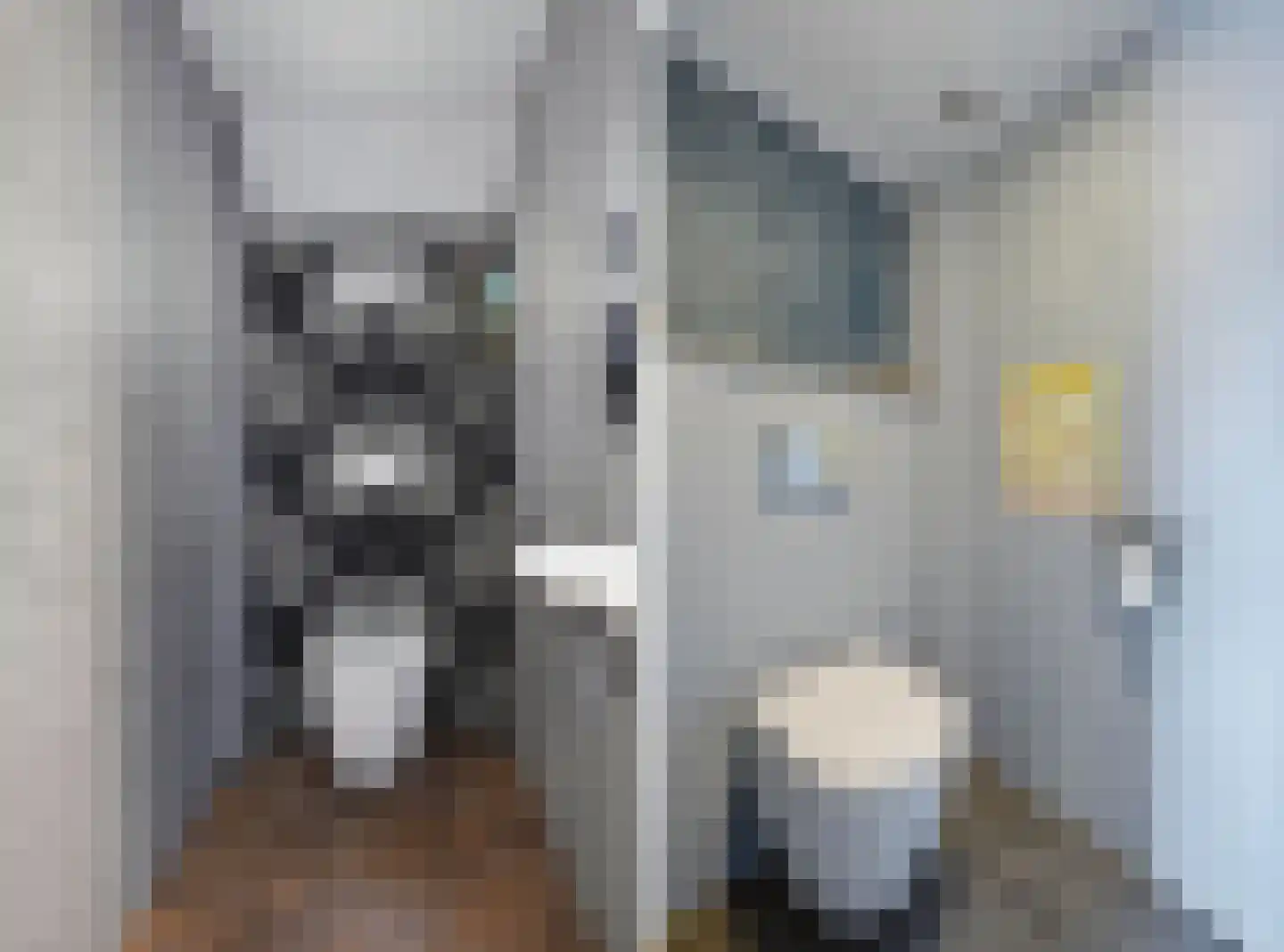 Eemslandweg 99 Zwartemeer thumbnail 16