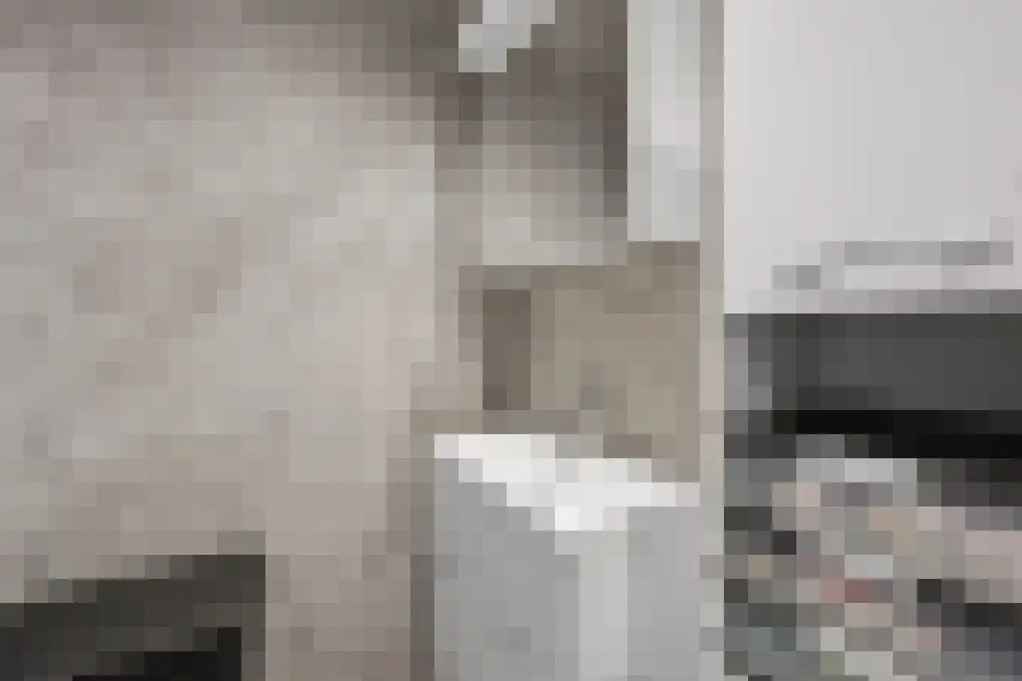 Eemslandweg 99 Zwartemeer thumbnail 18