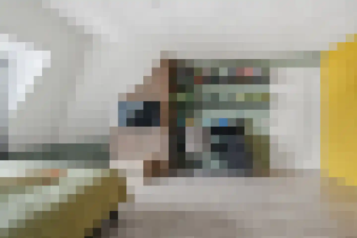 Eemslandweg 99 Zwartemeer thumbnail 26