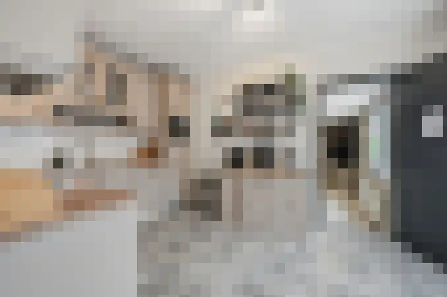 Eemslandweg 99 Zwartemeer thumbnail 6