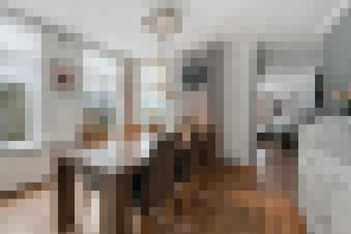 Eemslandweg 99 Zwartemeer thumbnail 9