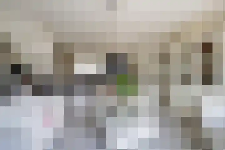 Eemsplantsoen 12 Berkel en Rodenrijs thumbnail 10