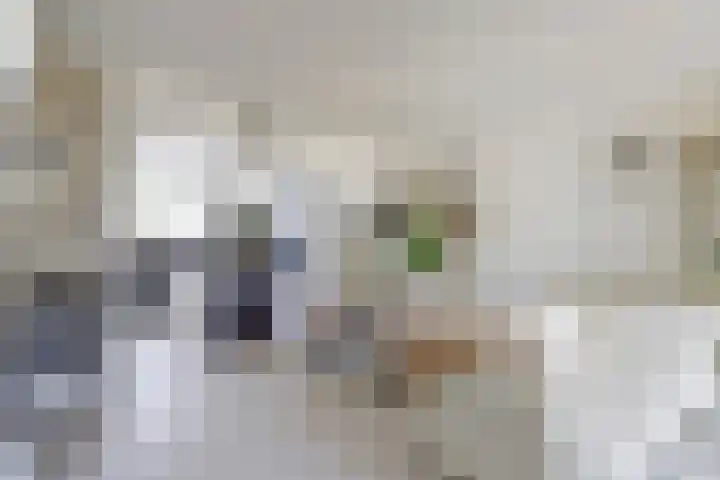 Eemsplantsoen 12 Berkel en Rodenrijs thumbnail 12