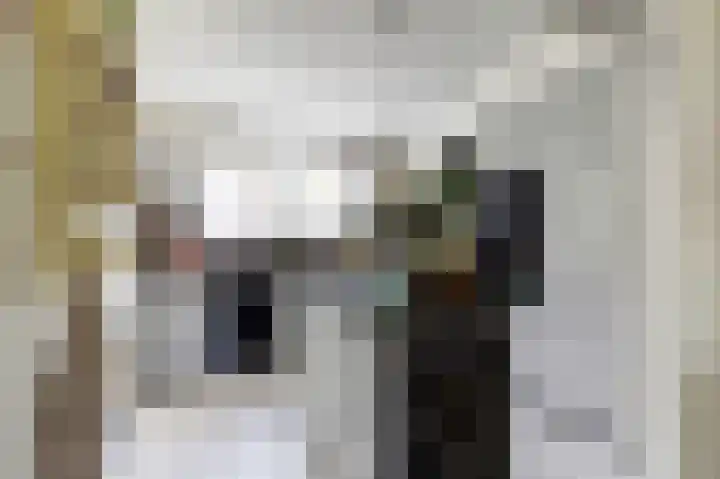 Eemsplantsoen 12 Berkel en Rodenrijs thumbnail 14