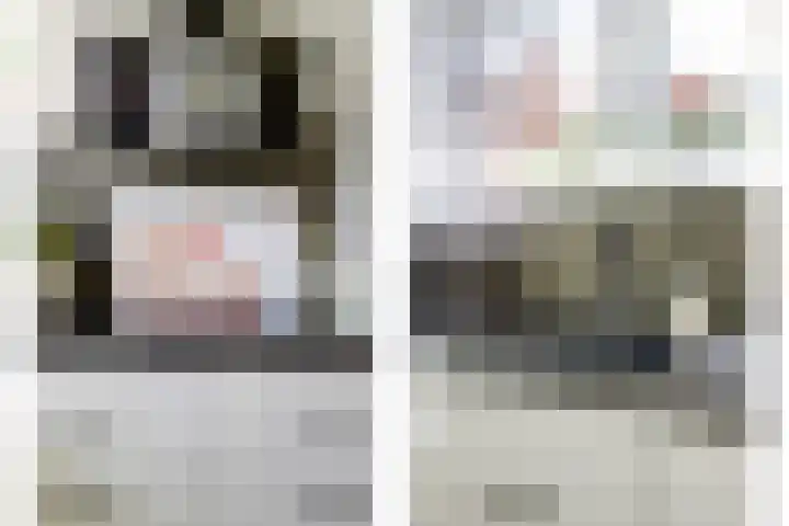 Eemsplantsoen 12 Berkel en Rodenrijs thumbnail 15
