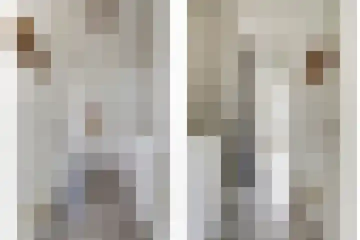 Eemsplantsoen 12 Berkel en Rodenrijs thumbnail 16